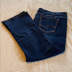 Plus women’s silver jeans